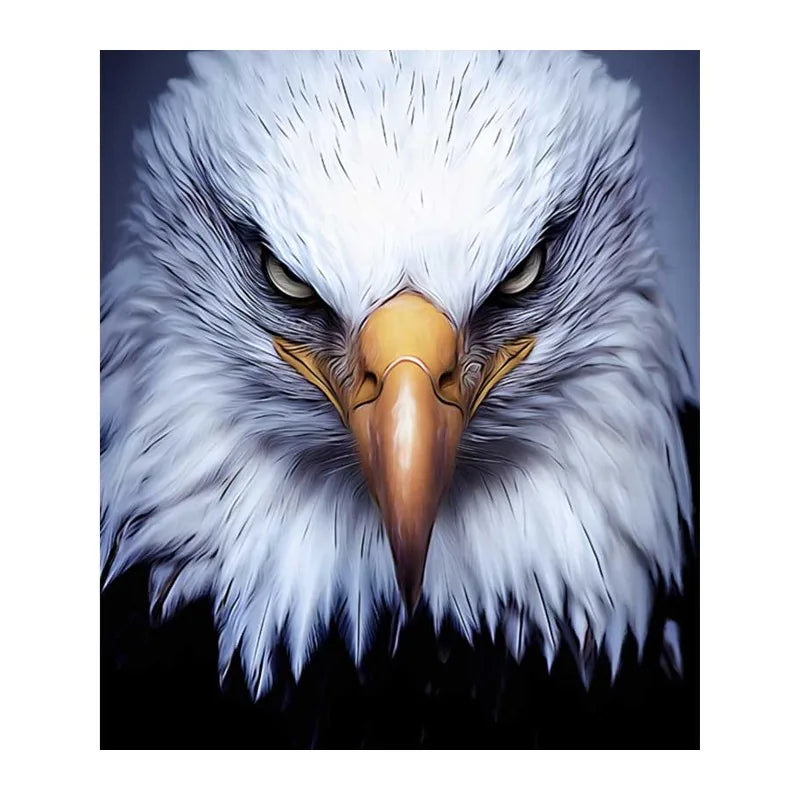Bald Eagle Stare round wooden puzzle