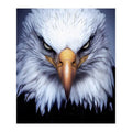 Bald Eagle Stare round wooden puzzle