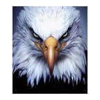 Bald Eagle Stare round wooden puzzle