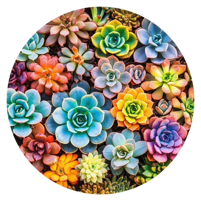 Succulent Garden round wooden puzzle